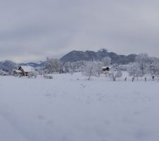 1ère neige sur notre terrain