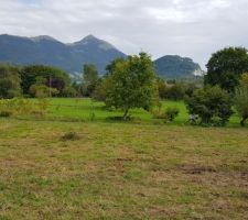 Le terrassement commence bientôt