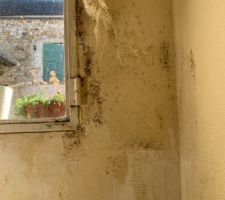 Decroutage partielle du mur intérieur à cause des moisissures