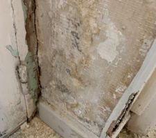 Vue des moisissures dues au ciment extérieur empêchant la perspirance des murs. La porte en bois est complètement pourrie