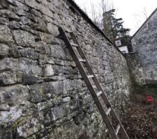 Fin du nettoyage lierre sur mur en pierre