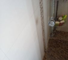 Paroi de douche