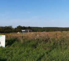 Terrain et affichage permis de construire