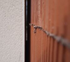 Entre notre maison et celle du voisin