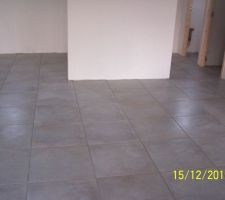 Vu entr&eacute;e rdc