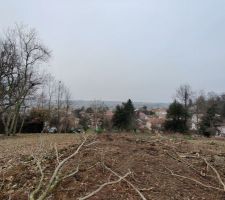 DEBOISAGE TERRAIN