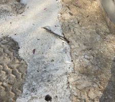 Les maçons ont le matériel mais amené avec la mini pelle en écrasant nombre de ferrailles