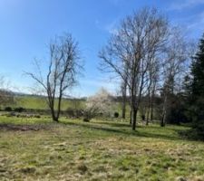 Photo du terrain avec vue sur la campagne