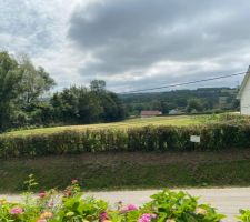 Vue avant du terrain