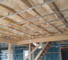 Plaquiste : Installation des rails + isolation plafond