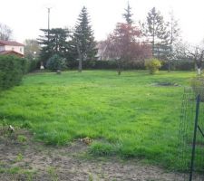 Terrain avant construction