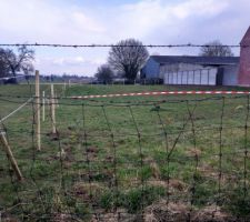 Mise en place de piquets