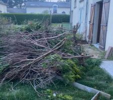 On enlève les arbres qui me cache le soleil