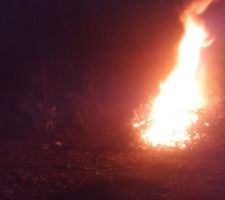 Nettoyage du terrain