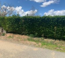 Permis de construire valid&eacute; et signature aupr&egrave;s du notaire valid&eacute; le vendredi 8 avril.
Arrachage de la haie pour le chemin d'acc&egrave;s.
