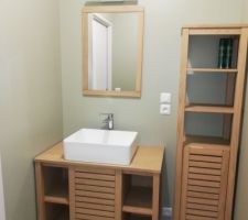 Salle d'eau suite parentale