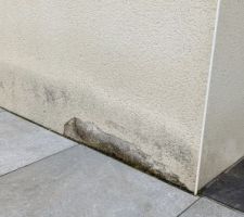 Crépi dégradé remontées capillaires