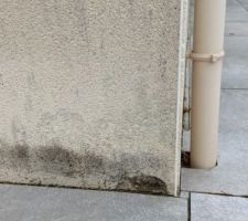 Crépi dégradé remontées capillaires