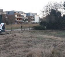 Aller c'est parti, le Terrassier entre en action. Au programme, destruction du muret qui traverse la propri&eacute;t&eacute; sous le lierre et la vigne vierge.