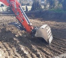 Aller c'est parti, le Terrassier entre en action. Au programme, destruction du muret qui traverse la propri&eacute;t&eacute; sous le lierre et la vigne vierge.
