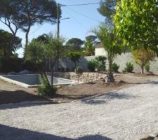 Plantation d'arbres: Camphriers, Metrosideros, Palmiers, Oranger, citronnier, grenadier, Kumquat, abricotier etc... ça commence à ressembler à un jardin - 13/04/22