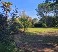 Terrain au printemps avant d'attaquer le chantier