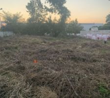 Il fallait couper les herbes hautes avant l'arriv&eacute; de la pelleteuse. Bravo ch&eacute;ri.