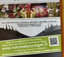 Conseils de culture des plantes carnivores