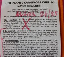 Conseils de culture de plantes carnivores