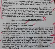 Conseils de culture de plantes carnivores