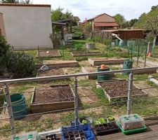 Le potager actuel