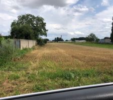 Terrain &agrave; entretenir? 
Reste de bl&eacute; apr&egrave;s la r&eacute;colte