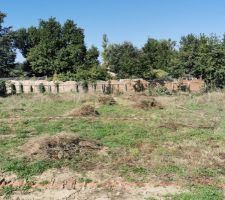 D&eacute;broussaillage avant de le d&eacute;but du terrassement