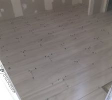 Bonjour 

Carrelage ou parquet ?