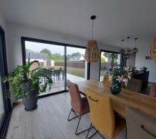 Petite vue intérieure extérieure, le gazon pousse enfin....