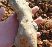 Un vilain "petit" silex parmi tant d'autres... J'EN PEUX PLUS DE CES CAILLOUX !!