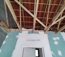 Isolation en plafond par laine puls&eacute;e.