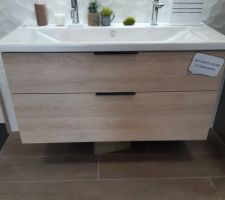 Meuble sdb couleur cachemire