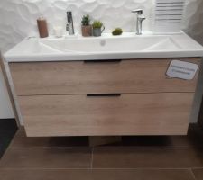 Meuble sdb cachemire