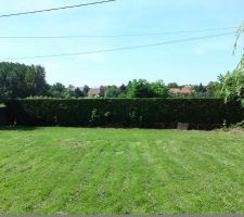 Vue depuis le centre du terrain vers l'avant