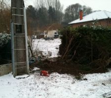 R&eacute;sultat apr&egrave;s le premier arbre sorti.