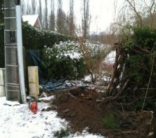 Cr&eacute;ation d'une ouverture en fa&ccedil;ade de nature &agrave; pr&eacute;parer un acc&egrave;s chantier. Il aura fallu arracher 6 m&egrave;tres lin&eacute;aires de sapinettes enracin&eacute;es depuis plus de 30 ans...