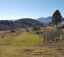 Terrain au printemps