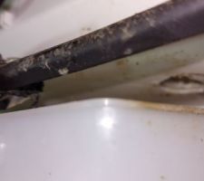 Le trou exutoire au fond du frigo, agrandi par les souris : le dessous, au dessus du compresseur