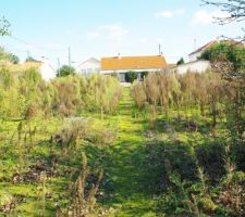 Avant le terrassement