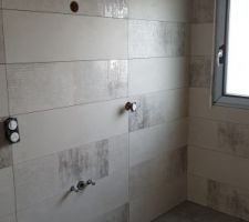Carrelage + faience + tapisserie