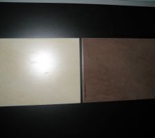 Fa&iuml;ence pour la salle de bain. Clair dans l'ensemble avec un liser&eacute; plus fonc&eacute;. Le tablier de la baignoire sera &eacute;galement couleur taupe.