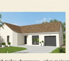 Cache moineau blanc