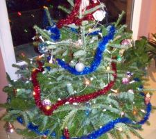 Mon beau sapin... 
décoré par mon petit Loulou