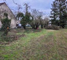 Petite photo du terrain avant mon passage tron&ccedil;onneuse &agrave; la main ! 
C'&eacute;tait du sport ! Mais en famille cela se fait bien !
Je vous rassure, nous allons replanter des arbres, ceux-ci &eacute;taient pour la plus part totalement morts de l'int&eacute;rieur... Nous allons donc replanter des arbres en pleine forme !